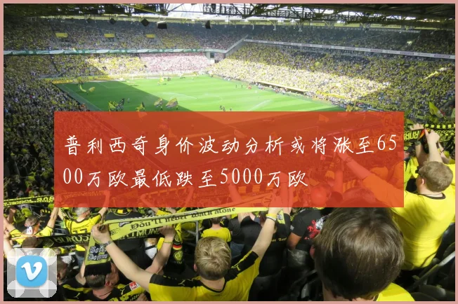 普利西奇身价波动分析或将涨至6500万欧最低跌至5000万欧