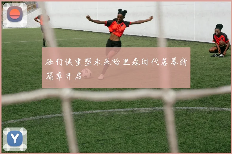独行侠重塑未来哈里森时代落幕新篇章开启